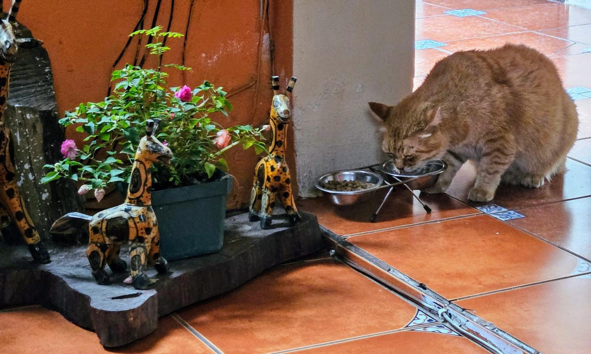 Hotel Casa Del Cerro Antigua ภายนอก รูปภาพ